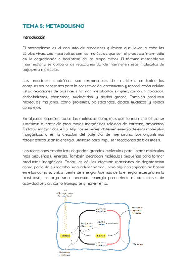 Miniatura del documento Tema-5.-Metabolismo.pdf