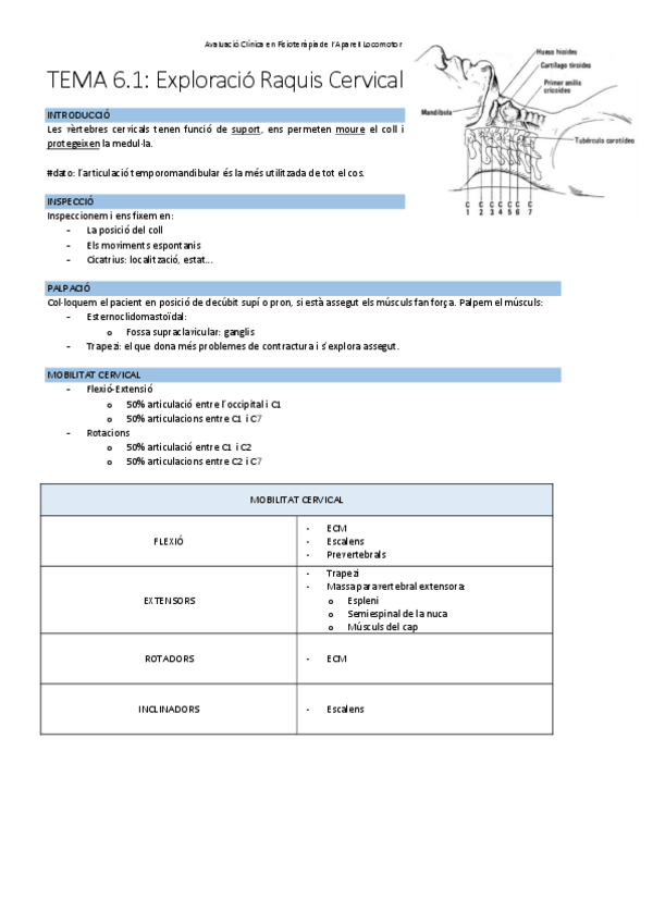 Miniatura del documento TEMA-6.1Exploracio-cervical.pdf