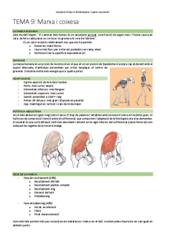 Miniatura del documento TEMA-9Marxa-i-coixesa.pdf