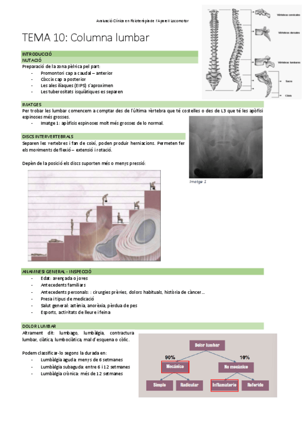 Miniatura del documento TEMA-10-Exploracio-columna-lumbar.pdf