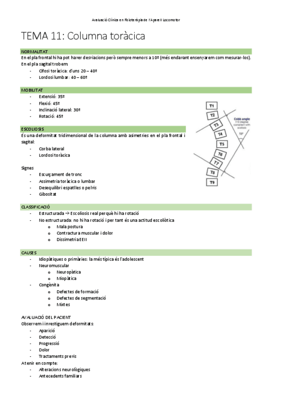 Miniatura del documento TEMA-11-Exploracio-columna-toracica.pdf