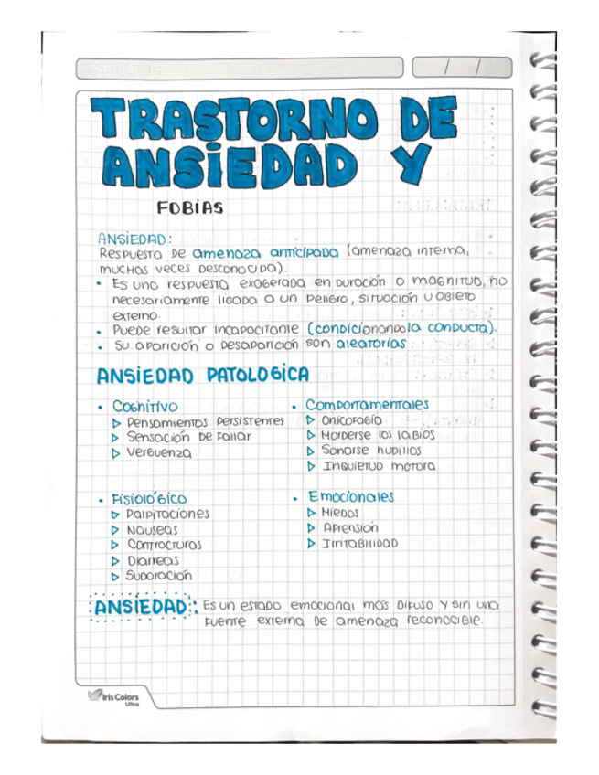 Miniatura del documento TRASTORNOS-DE-ANSIEDAD-Y-FOBIAS.pdf