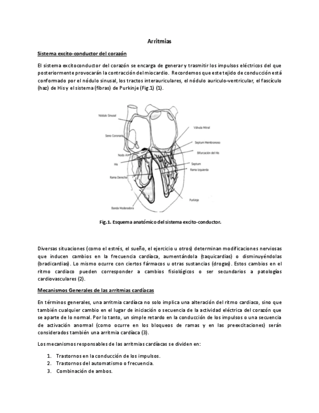 Miniatura del documento Arritmias.pdf