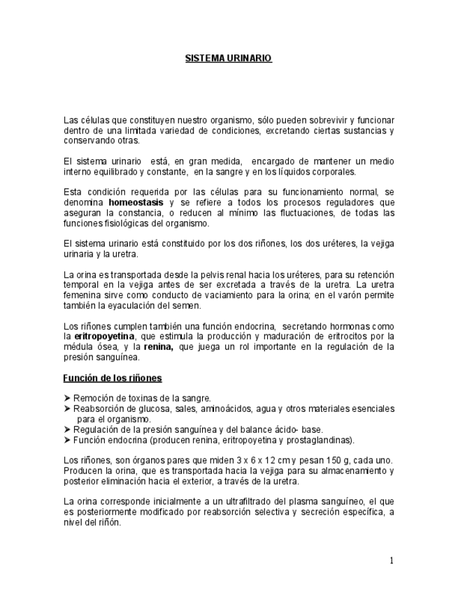 Miniatura del documento Aparato-urinario.pdf