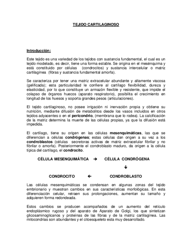 Miniatura del documento Apuntes-de-Tejido-cartilaginoso.pdf