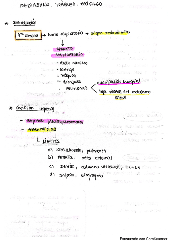 Miniatura del documento ESQUEMA-TEMA-81-Mediastino.pdf