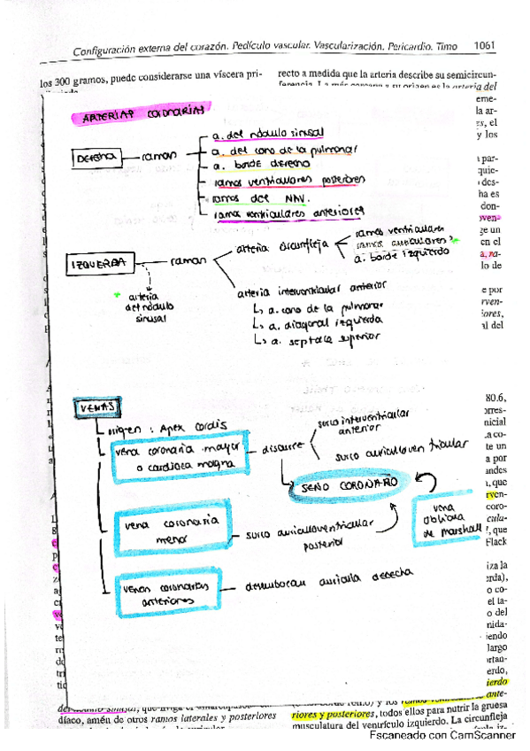 Miniatura del documento mini-resumen-tema-80.pdf