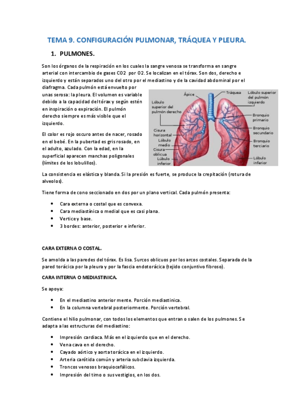 Miniatura del documento TEMA-9.pdf