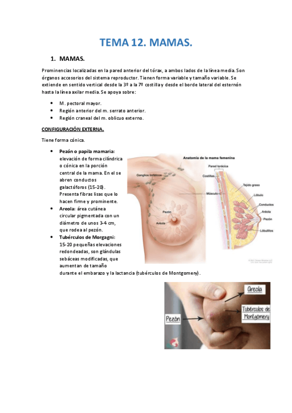 Miniatura del documento TEMA-12.pdf