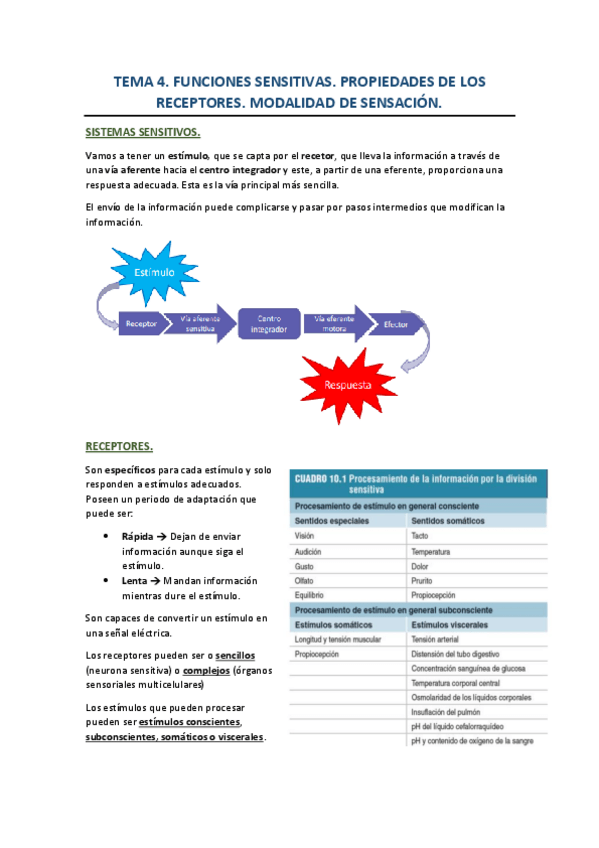 Miniatura del documento TEMA-4-funciones-sensitivas.pdf