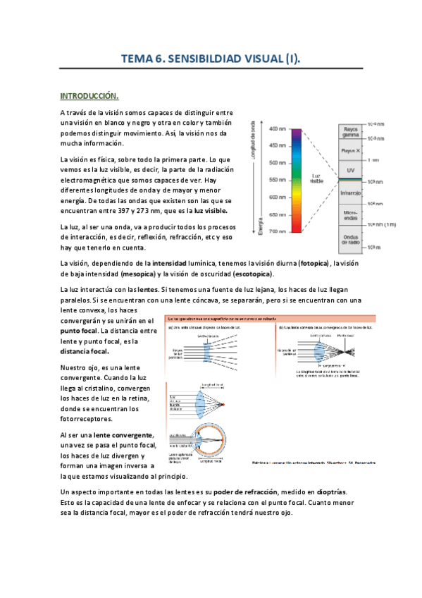 Miniatura del documento TEMA-6.1-sensibilidad-visual.pdf
