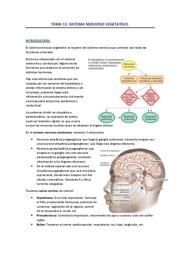 Miniatura del documento TEMA-13-SNV.pdf