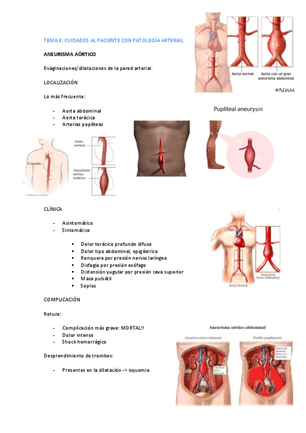 Miniatura del documento TEMA-8-bloque-cardio.pdf