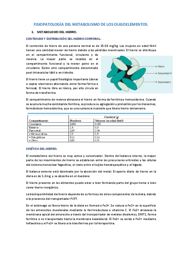 Miniatura del documento FISIOPATOLOGIA-DEL-METABOLISMO-DE-LOS-OLIGOELEMENTOS.pdf