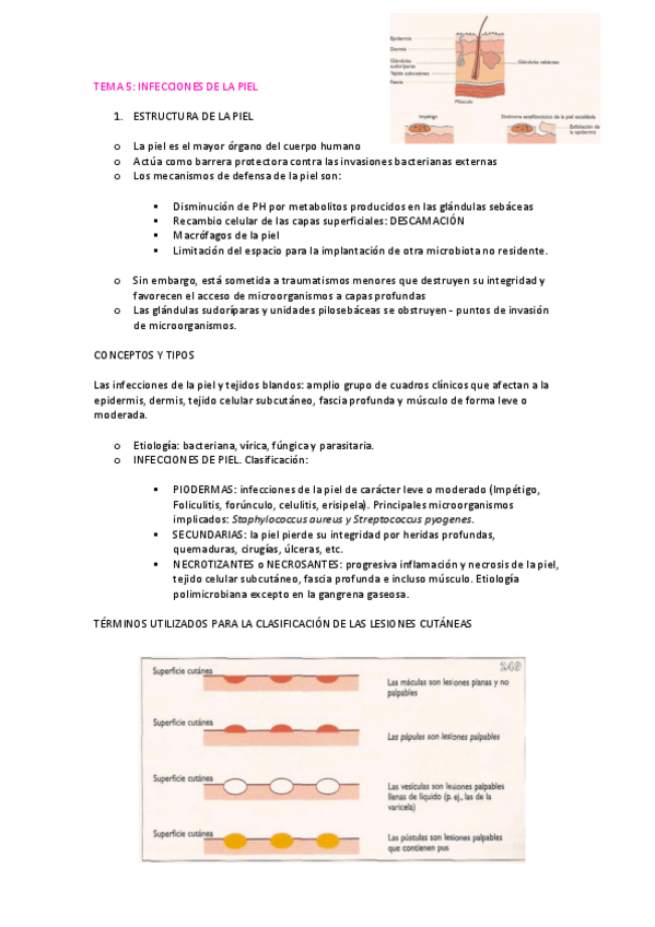 Miniatura del documento TEMA-5-MICROBIOLOGIA.pdf