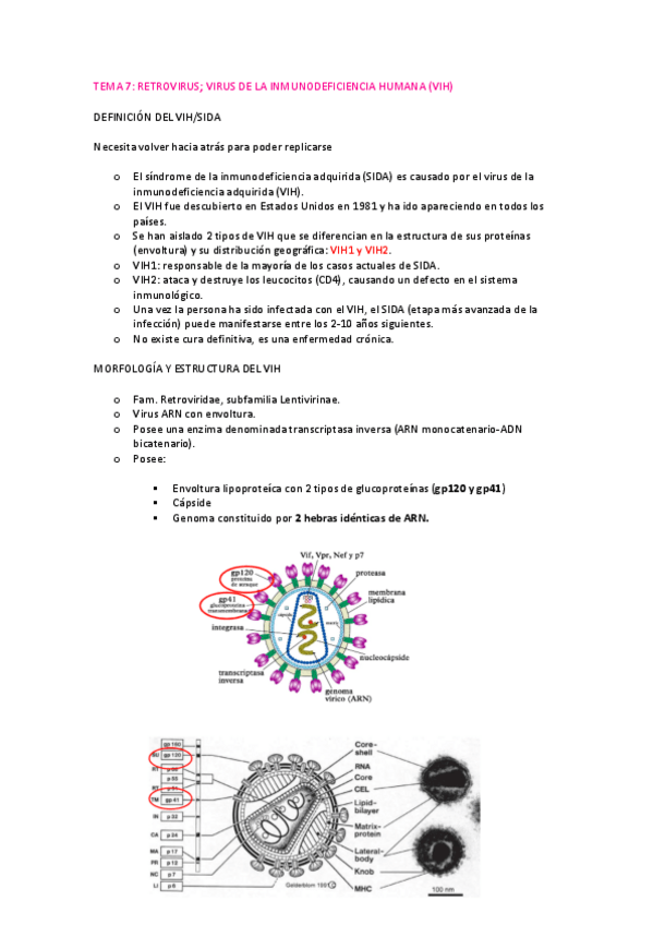 Miniatura del documento TEMA-7-microbiologia.pdf
