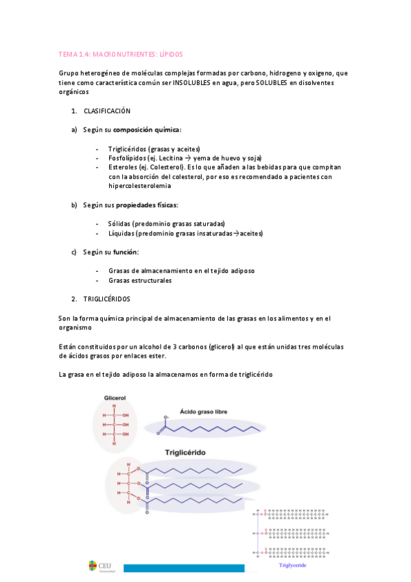 Miniatura del documento TEMA-1.4.-lipidos.pdf
