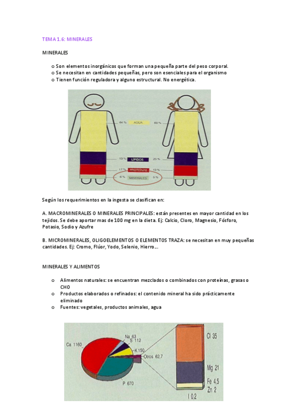 Miniatura del documento TEMA-1.6.-MINERALES.pdf