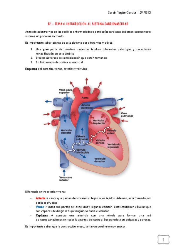 Miniatura del documento Afecciones-MQ-I-B2.-Tema-0-Sistema-Cardiovascular.pdf