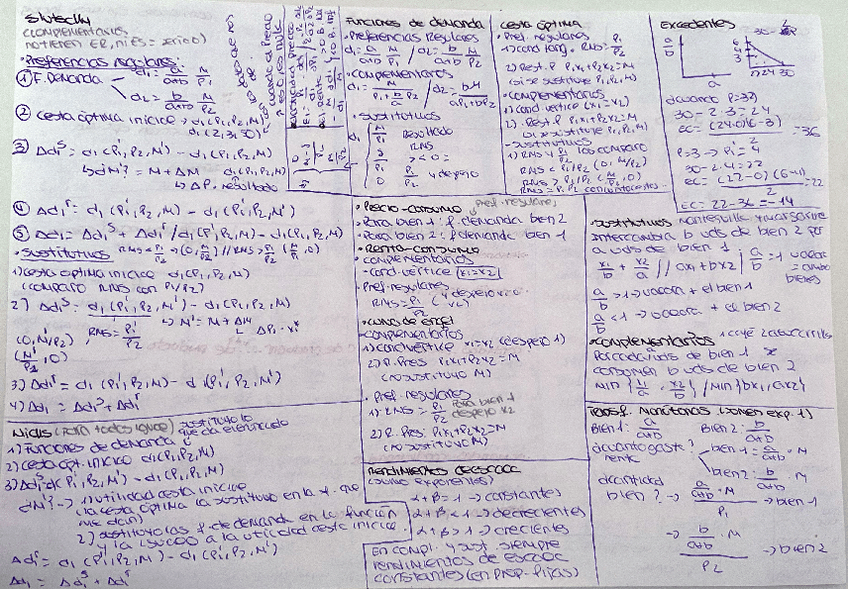Miniatura del documento Esquema-examen-final-completo.pdf