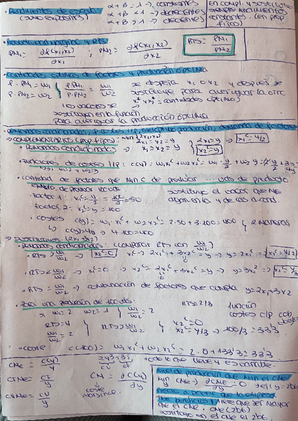 Miniatura del documento Esquema-3er-parcial-completo.pdf