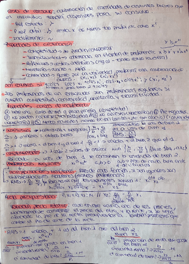 Miniatura del documento Esquema-1er-parcial-completo.pdf
