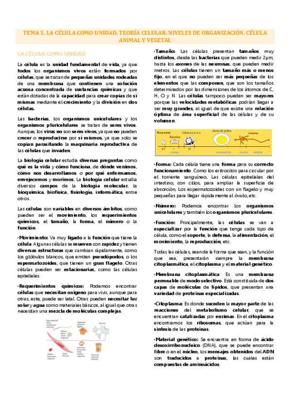 Miniatura del documento Tema 1 biología celular, la célula como unidad.pdf