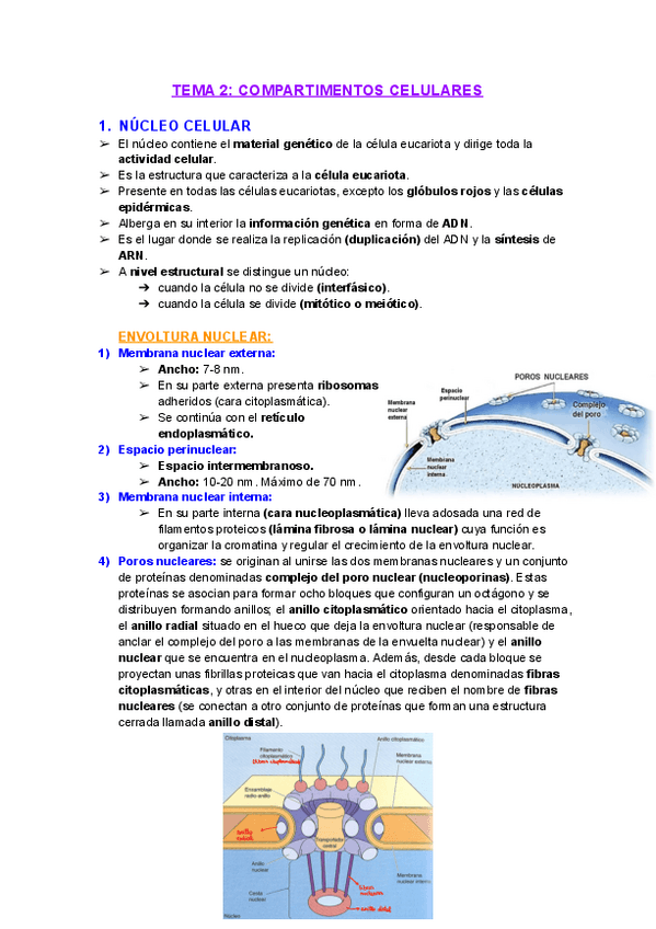 Miniatura del documento Tema2Compartimentos-celulares.pdf