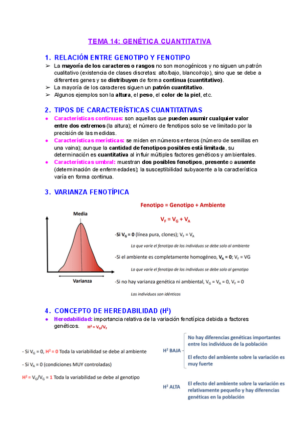Miniatura del documento Tema14Genetica-cuantitativa.pdf