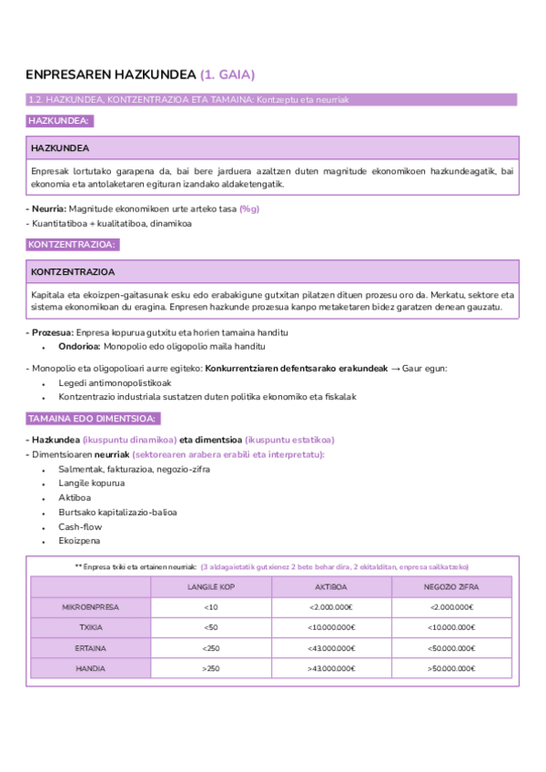 Miniatura del documento 1.-GAIA-Enpresaren-hazkundea.pdf