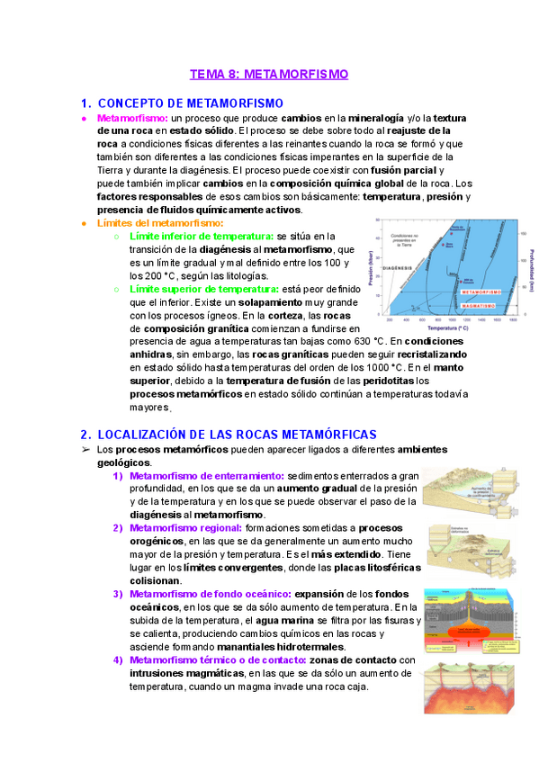 Miniatura del documento Tema8Elprocesometamorfico.pdf