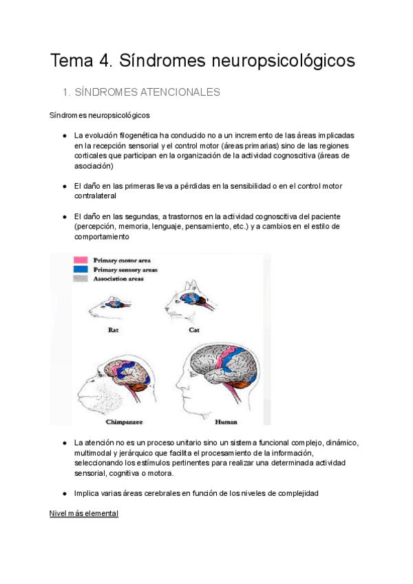 Miniatura del documento Tema-4SOLO-TEMARIO-PARCIAL.pdf