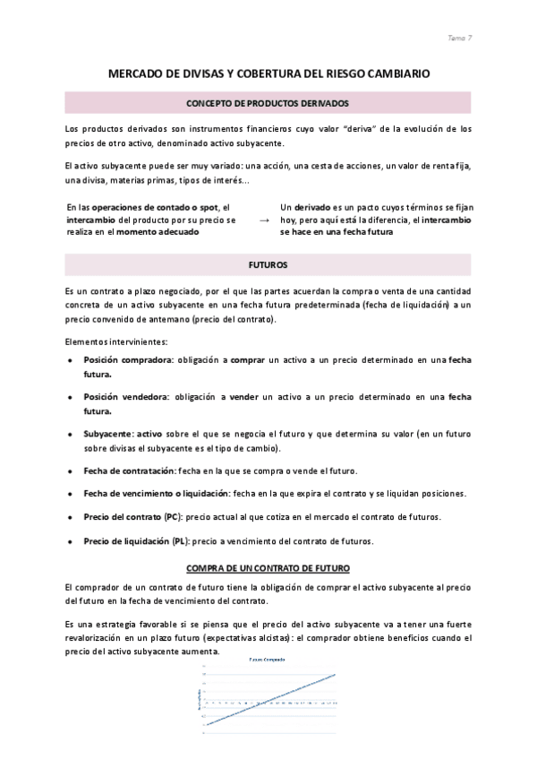 Miniatura del documento 7.2.-Mercado-de-divisas-y-cobertura-del-riesgo-cambiario.pdf