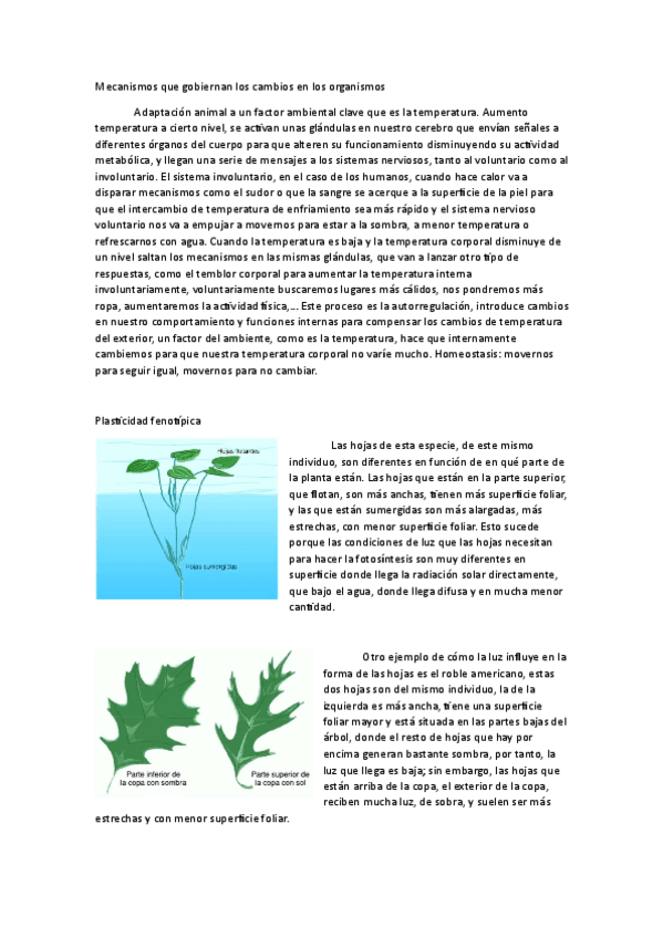 Miniatura del documento Ecologia-Apuntes-1oParcial-Video-3.pdf