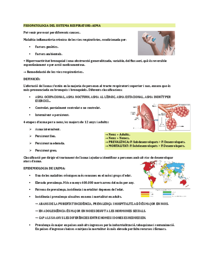Miniatura del documento ASMA.pdf