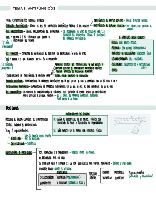 Miniatura del documento TEMA-8.-ANTIFUNGICOS.pdf