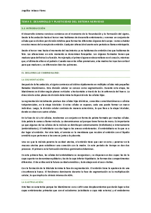 Miniatura del documento TEMAS-5-Y-6-NEUROCIENCIAS 23-24.pdf