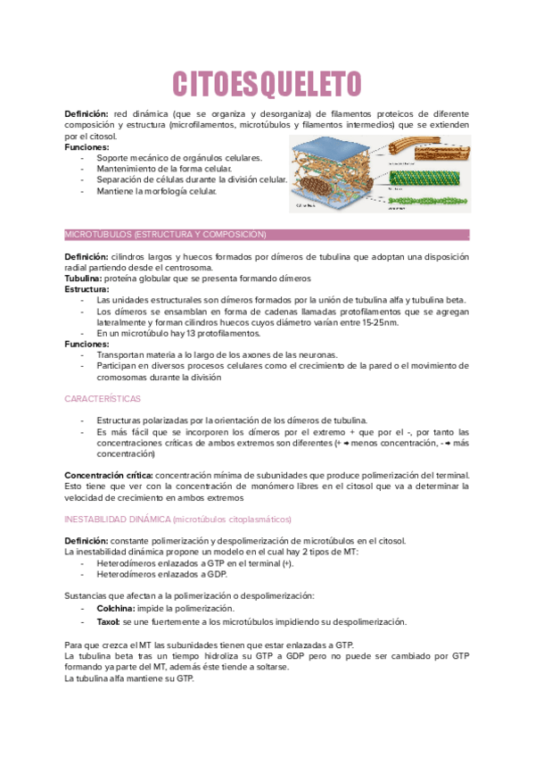 Miniatura del documento TEMA.-13.pdf