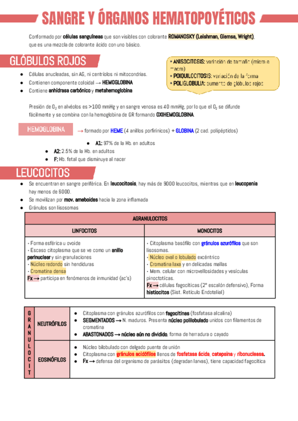 Miniatura del documento SANGRE-Y-ORGANOS-HEMATOPOYETICOS.pdf