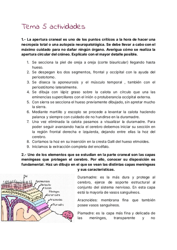 Miniatura del documento Actividades-tema-5.pdf