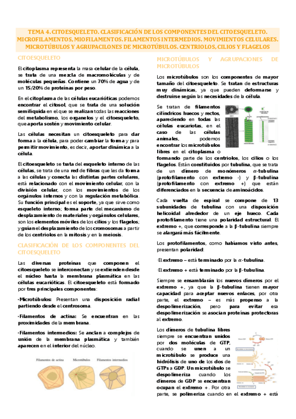 Miniatura del documento Tema 4 biología celular, citoesqueleto.pdf