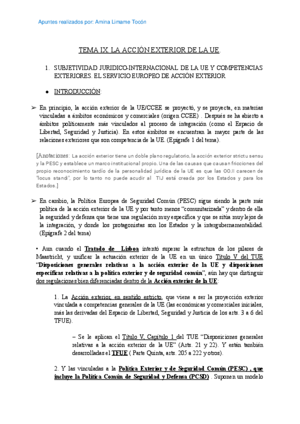 Miniatura del documento TEMA-9-IDUE.pdf