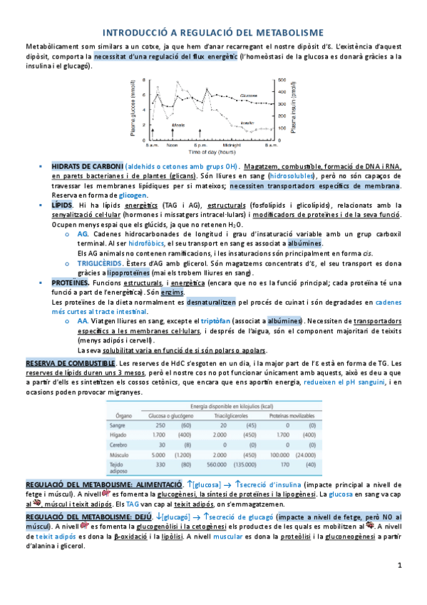 Miniatura del documento bloc1-introducció.pdf