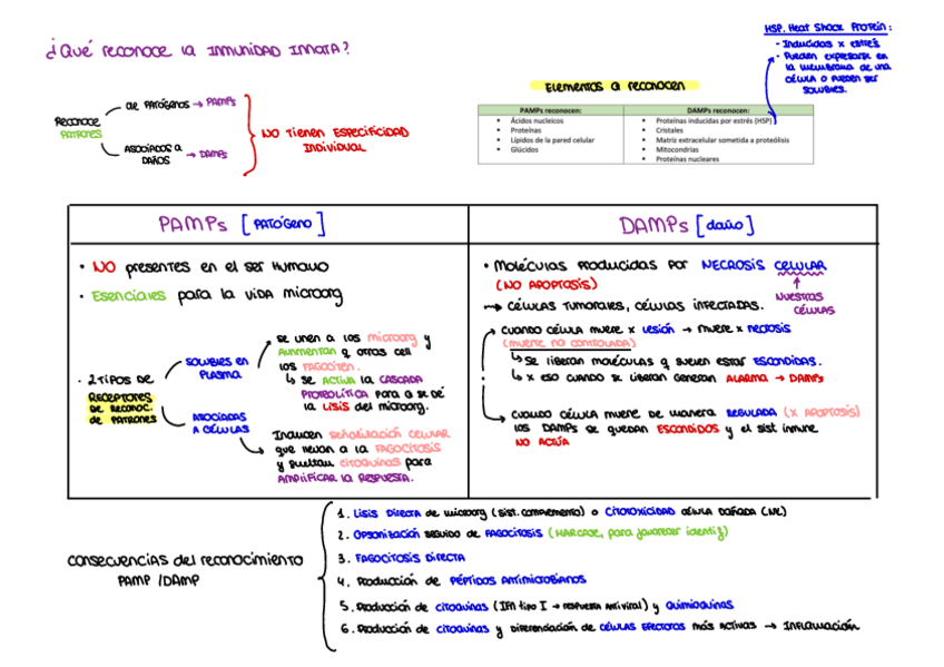 Miniatura del documento PAMPs-y-DAMPs.pdf