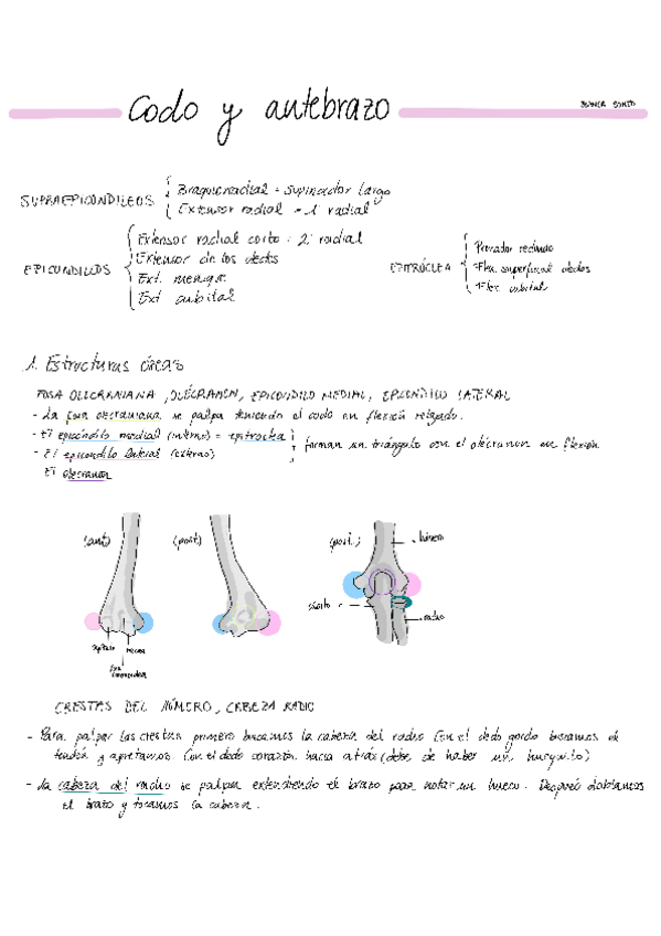 Miniatura del documento cado-y-antebrazo.pdf