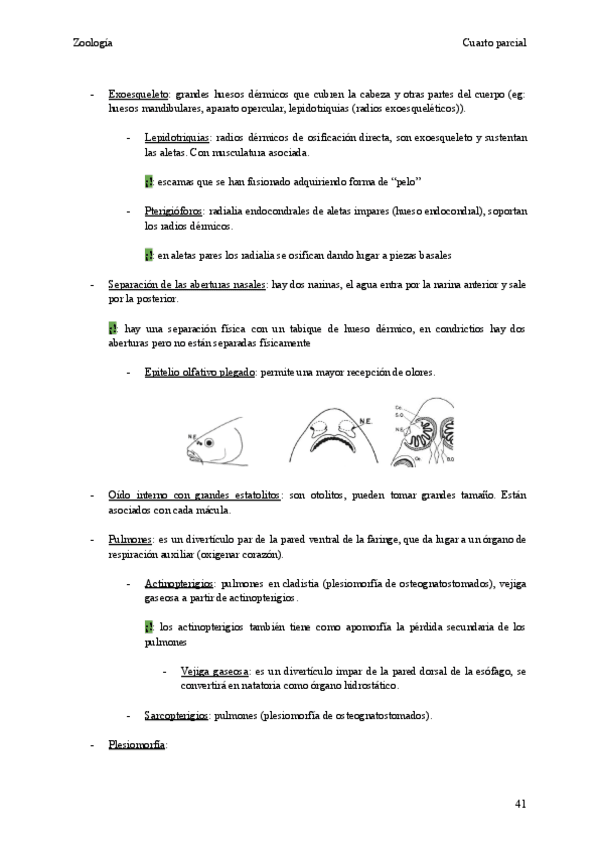Miniatura del documento zoologia-cuarto-parcial-segundaparte.pdf