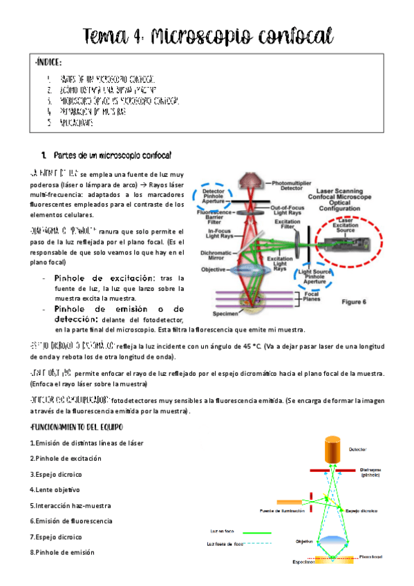 Miniatura del documento tema-4-TIA.pdf