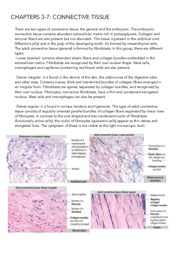 Miniatura del documento CHAPTERS-3-7-BIOCELL-II.pdf