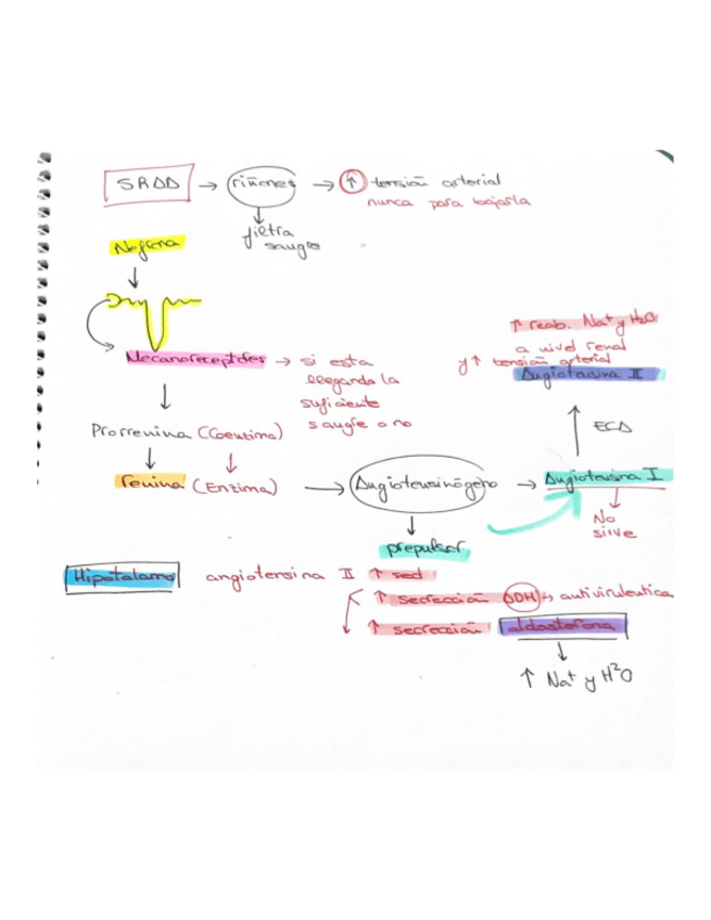 Miniatura del documento SISTEMA-SRAA.pdf