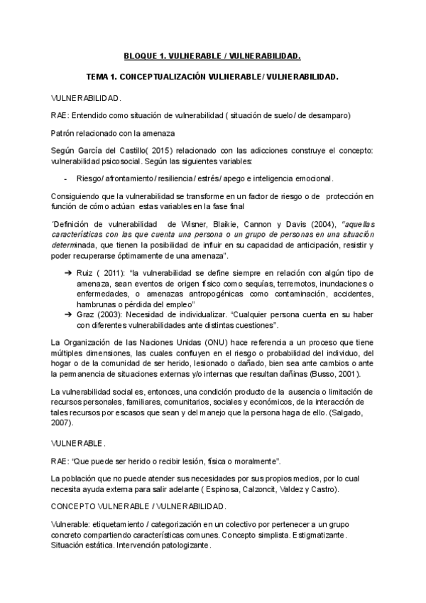 Miniatura del documento Vulnerabilidad-bloque-1.pdf